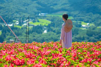 インスタ映えスポット散策