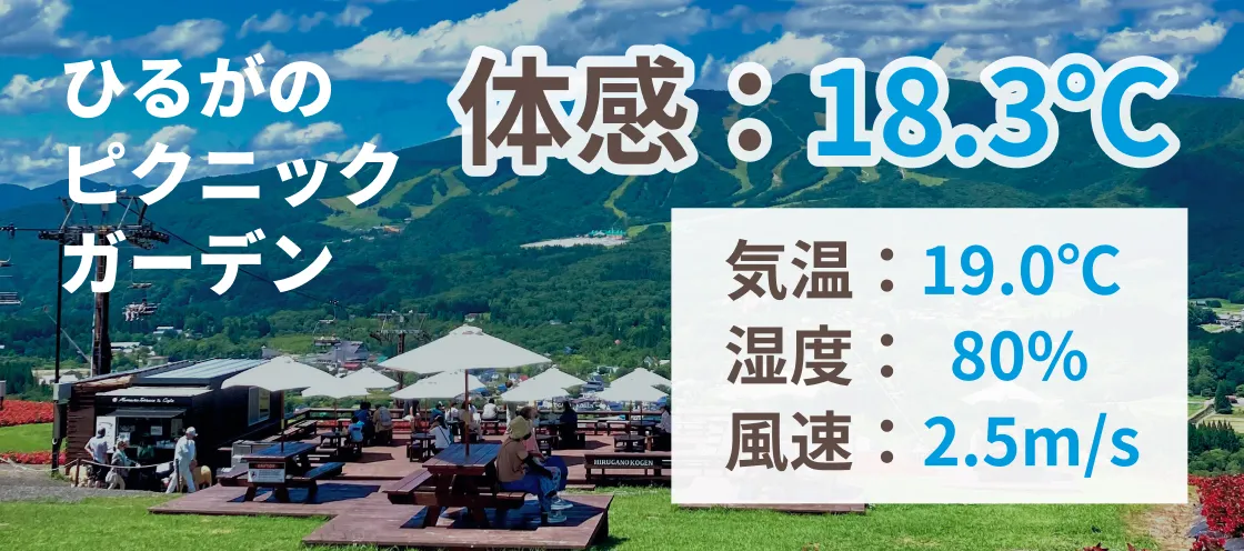ひるがのピクニックガーデン 体感：24.0℃