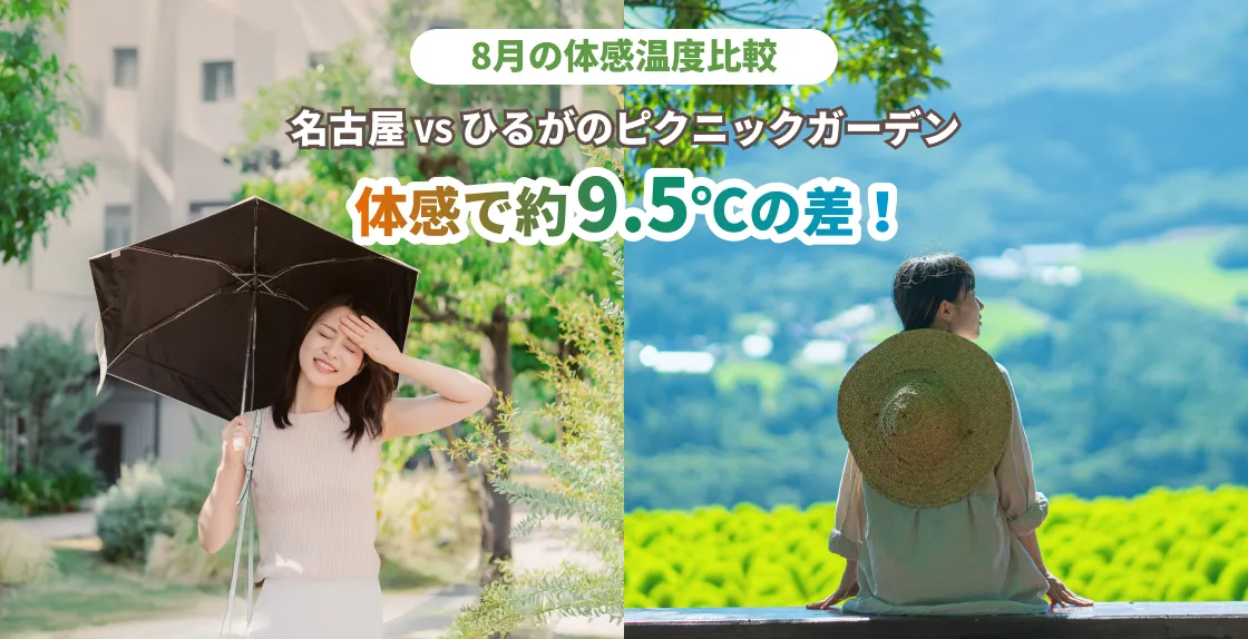 8月の体感温度比較