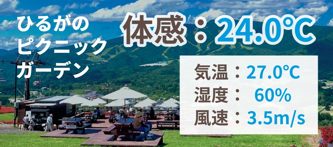 ひるがのピクニックガーデン 体感：24.0℃