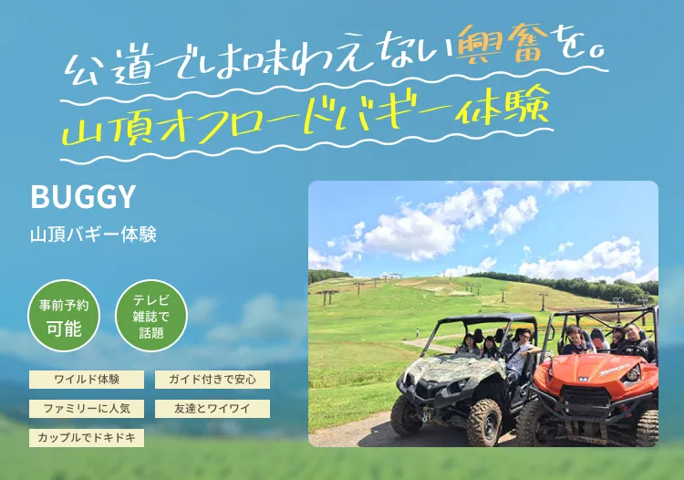 公道では味わえない興奮を。山頂オフロードバギー体験