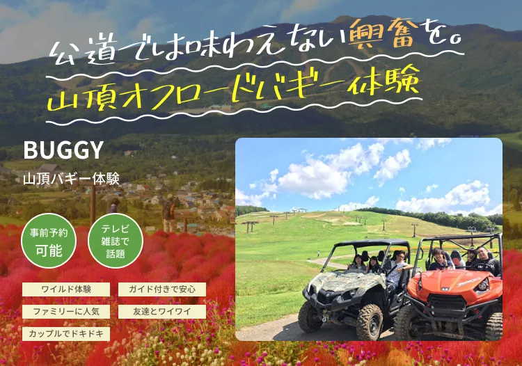 公道では味わえない興奮を。山頂オフロードバギー体験