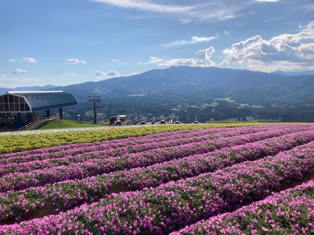 ひるがのNOW