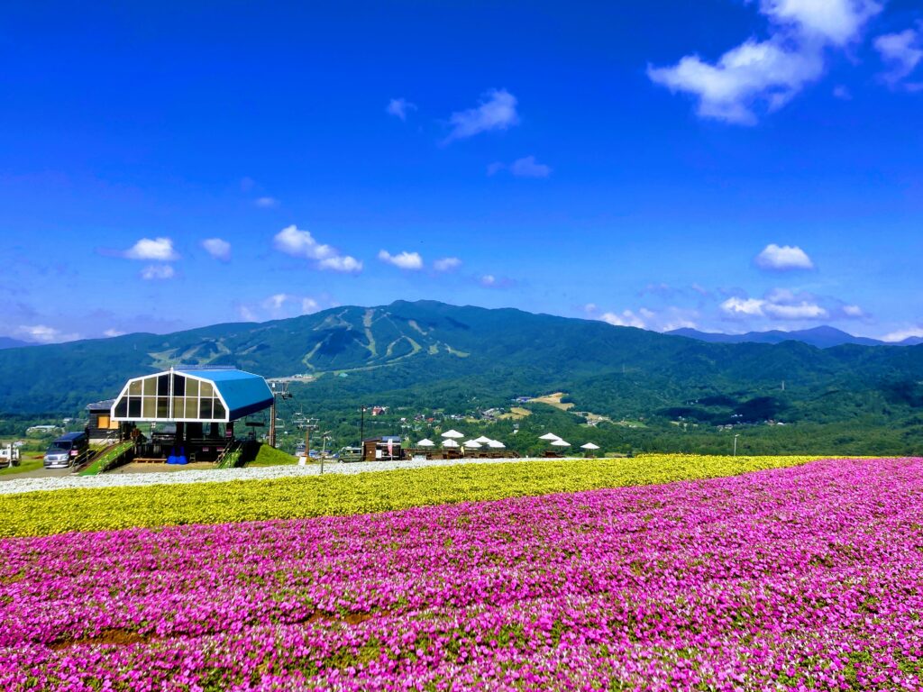 ひるがのNOW