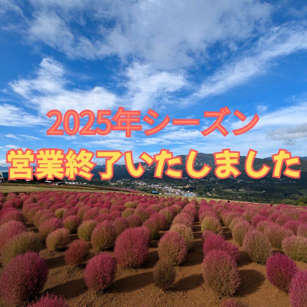ひるがのNOW